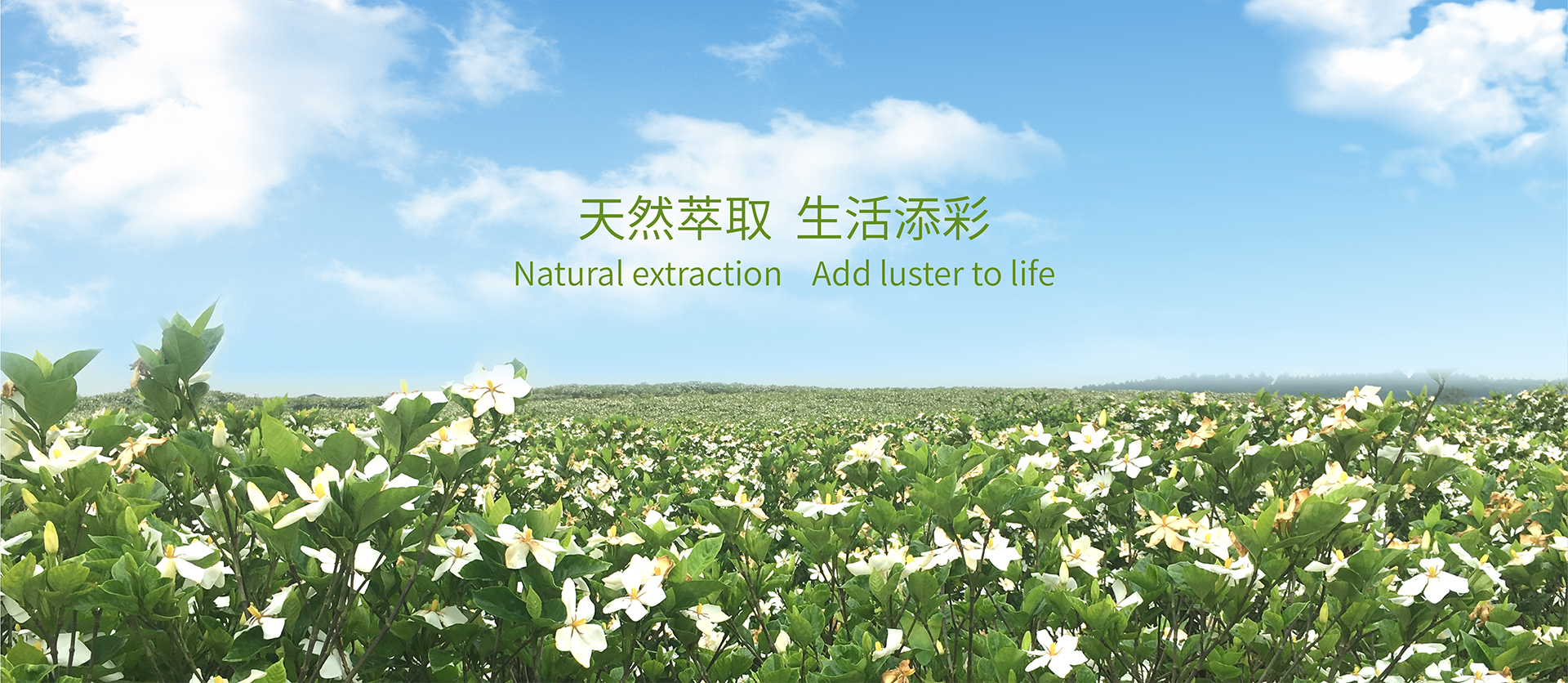 科研人员